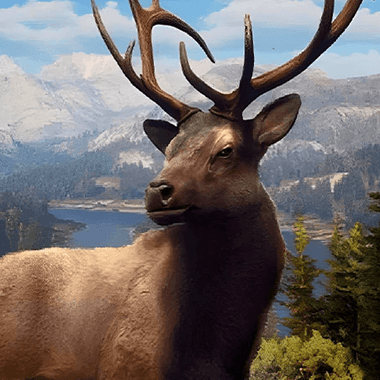 Way of the Hunter: Wild America