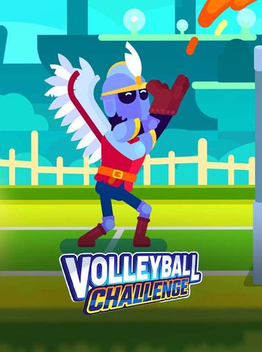 Volleyball Challenge