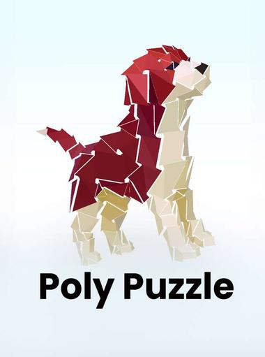 Poly Puzzle