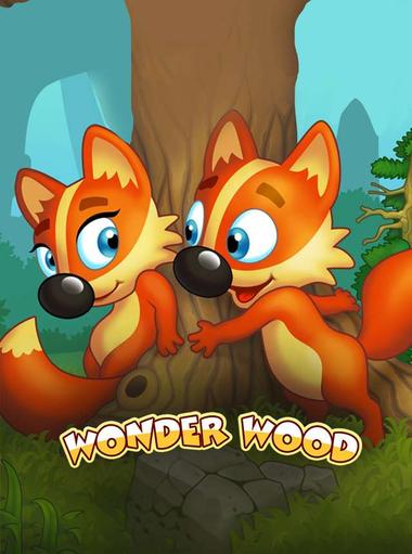 Wonder Wood Premium